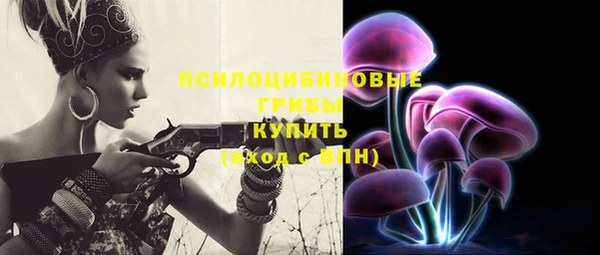 2c-b Алексеевка