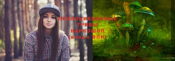 2c-b Алексеевка