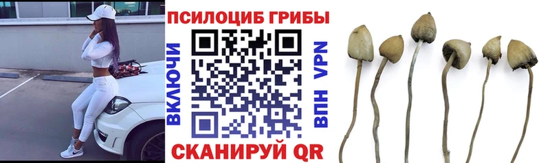 Галлюциногенные грибы Magic Shrooms  Кочубеевское 